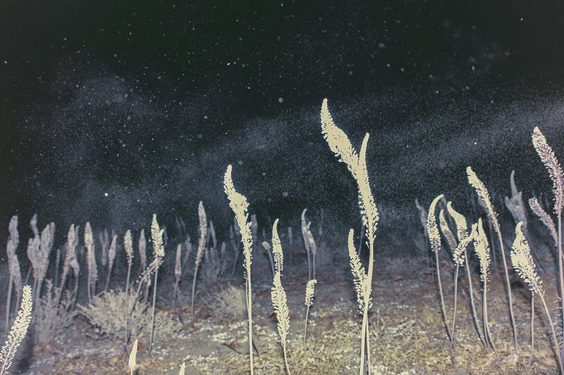 © Yorgos Yatromanolakis - Image from the The Splitting of the Chrysalis and the Slow Unfolding of the Wings photography project