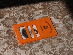 Zagara—Ogni fiore porta il profumo del suo segreto