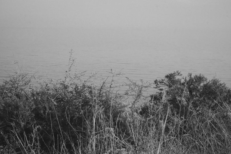 © Tiziana Amico - Image from the Zagara—Ogni fiore porta il profumo del suo segreto photography project