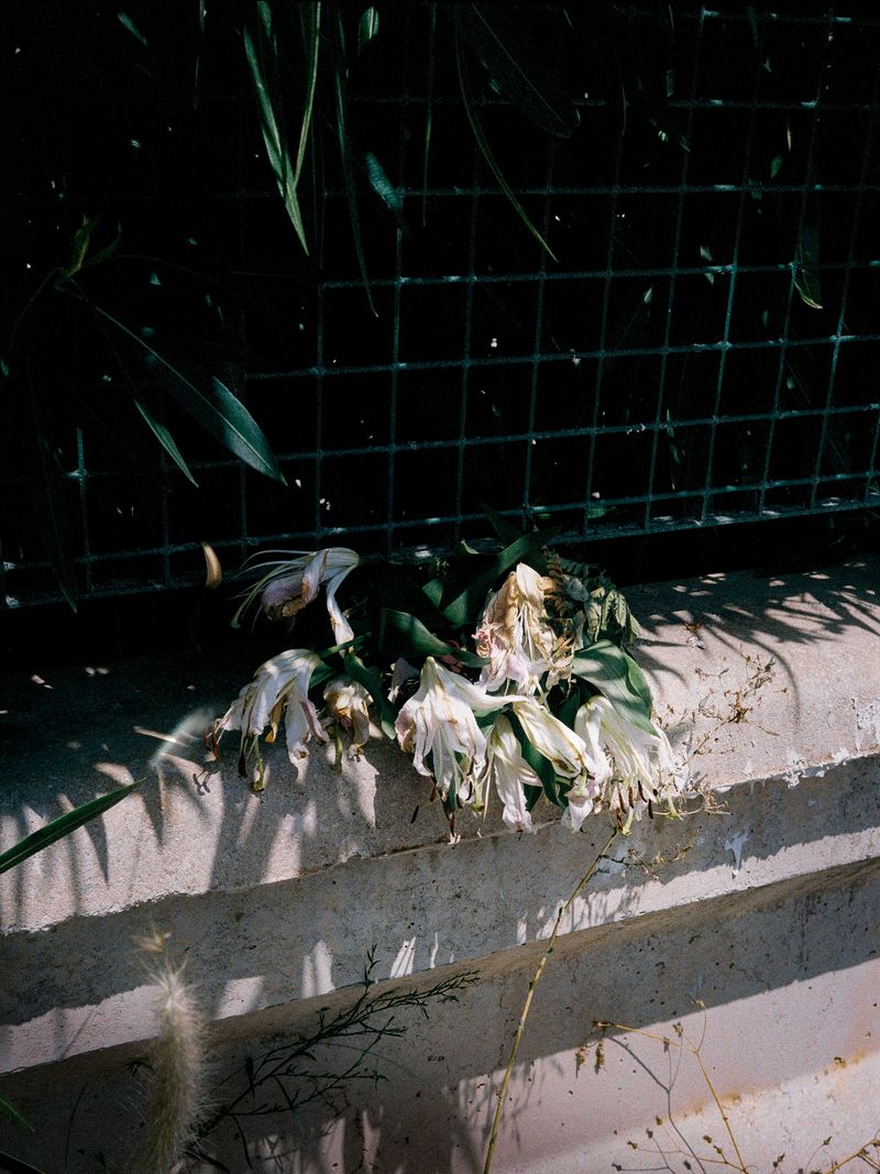 © Tiziana Amico - Image from the Zagara—Ogni fiore porta il profumo del suo segreto photography project