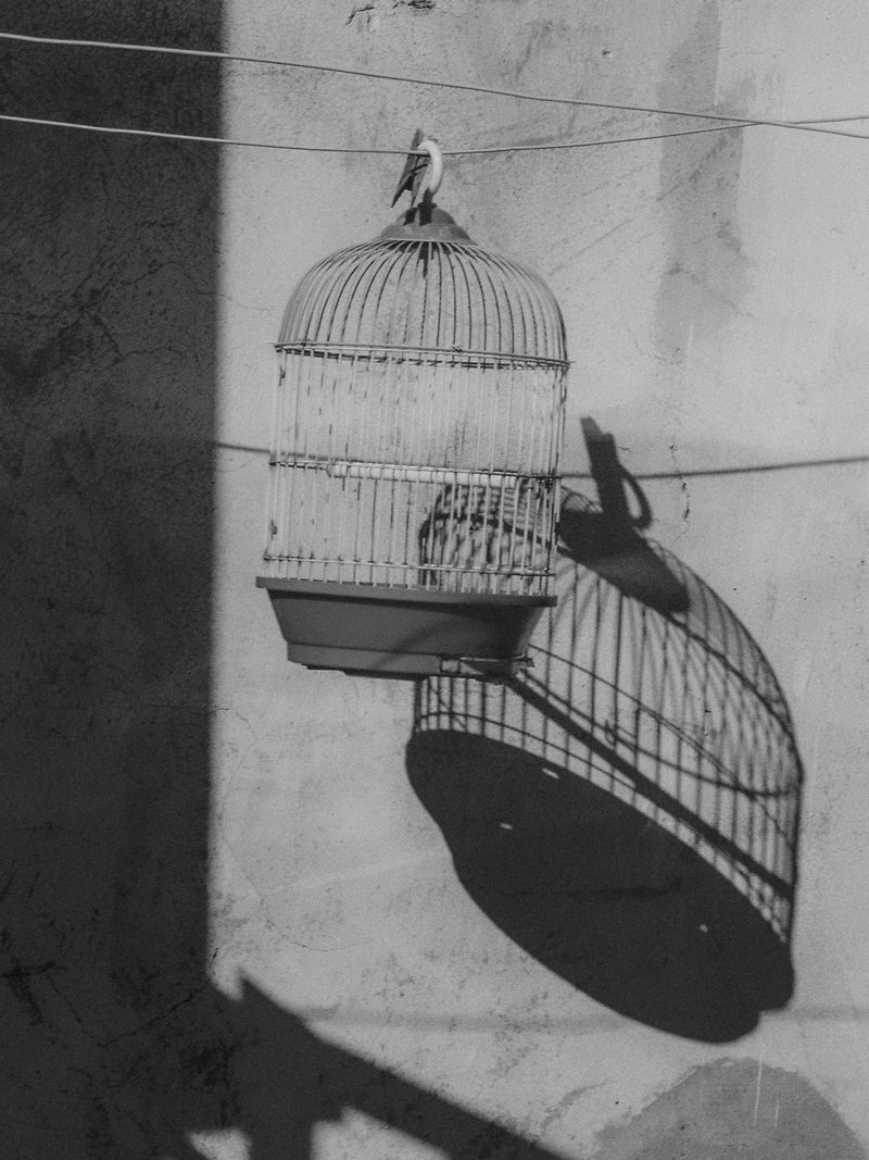 © Tiziana Amico - Image from the Zagara—Ogni fiore porta il profumo del suo segreto photography project