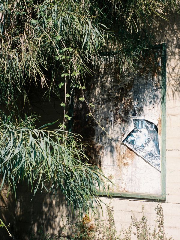 © Tiziana Amico - Image from the Zagara—Ogni fiore porta il profumo del suo segreto photography project