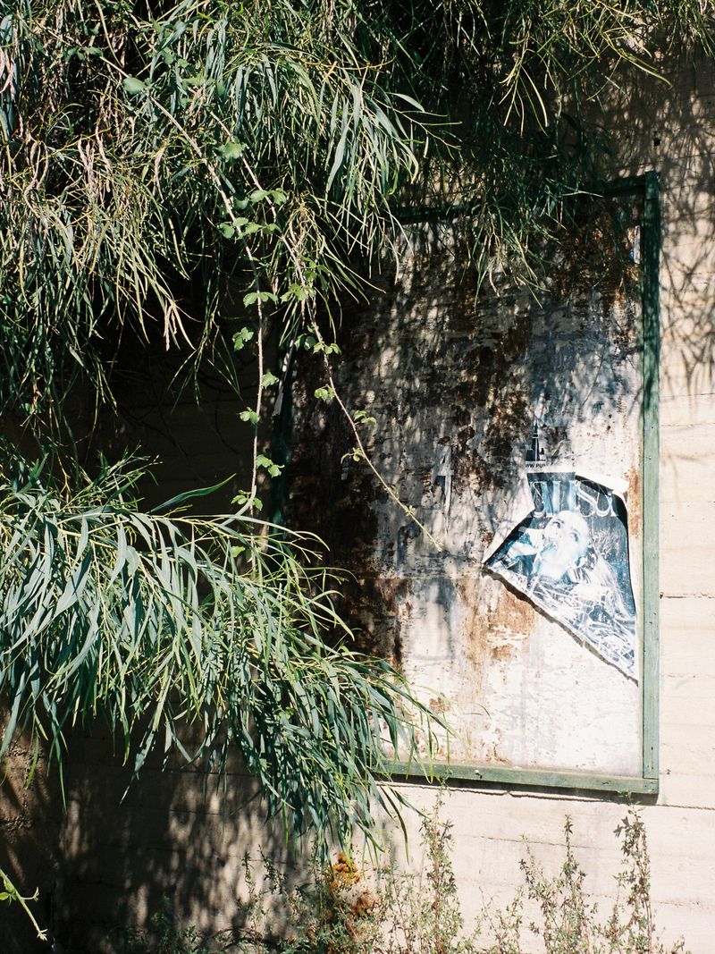 © Tiziana Amico - Image from the Zagara—Ogni fiore porta il profumo del suo segreto photography project