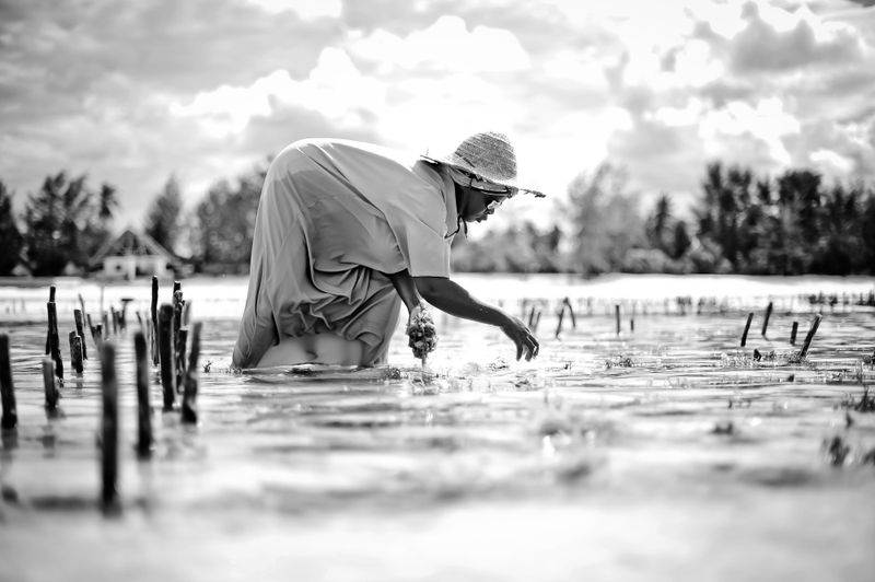 © Rosa van Ederen - Image from the The women of the Seaweed Center photography project