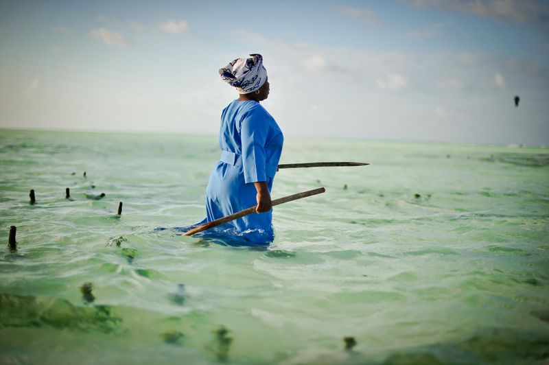 © Rosa van Ederen - Image from the The women of the Seaweed Center photography project