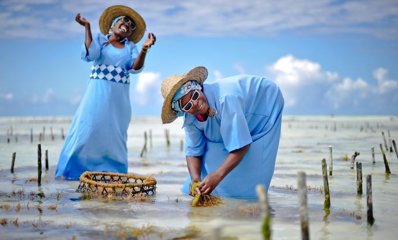 © Rosa van Ederen - Image from the The women of the Seaweed Center photography project