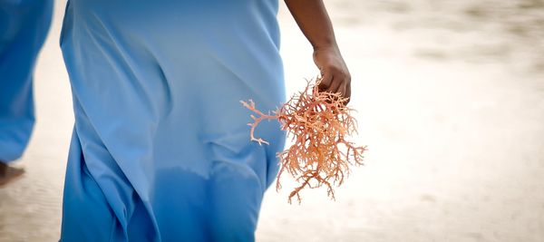 © Rosa van Ederen - Image from the The women of the Seaweed Center photography project