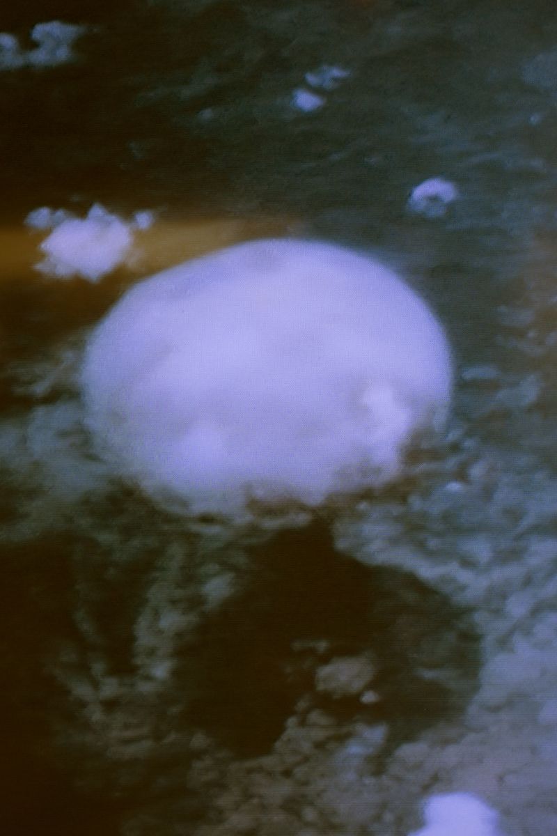 © Silja Yvette - Terraforming III, 2018