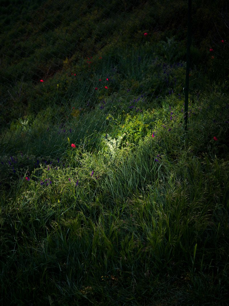 © Mayssa Jaoudat - Image from the Suzanne, Long Road photography project