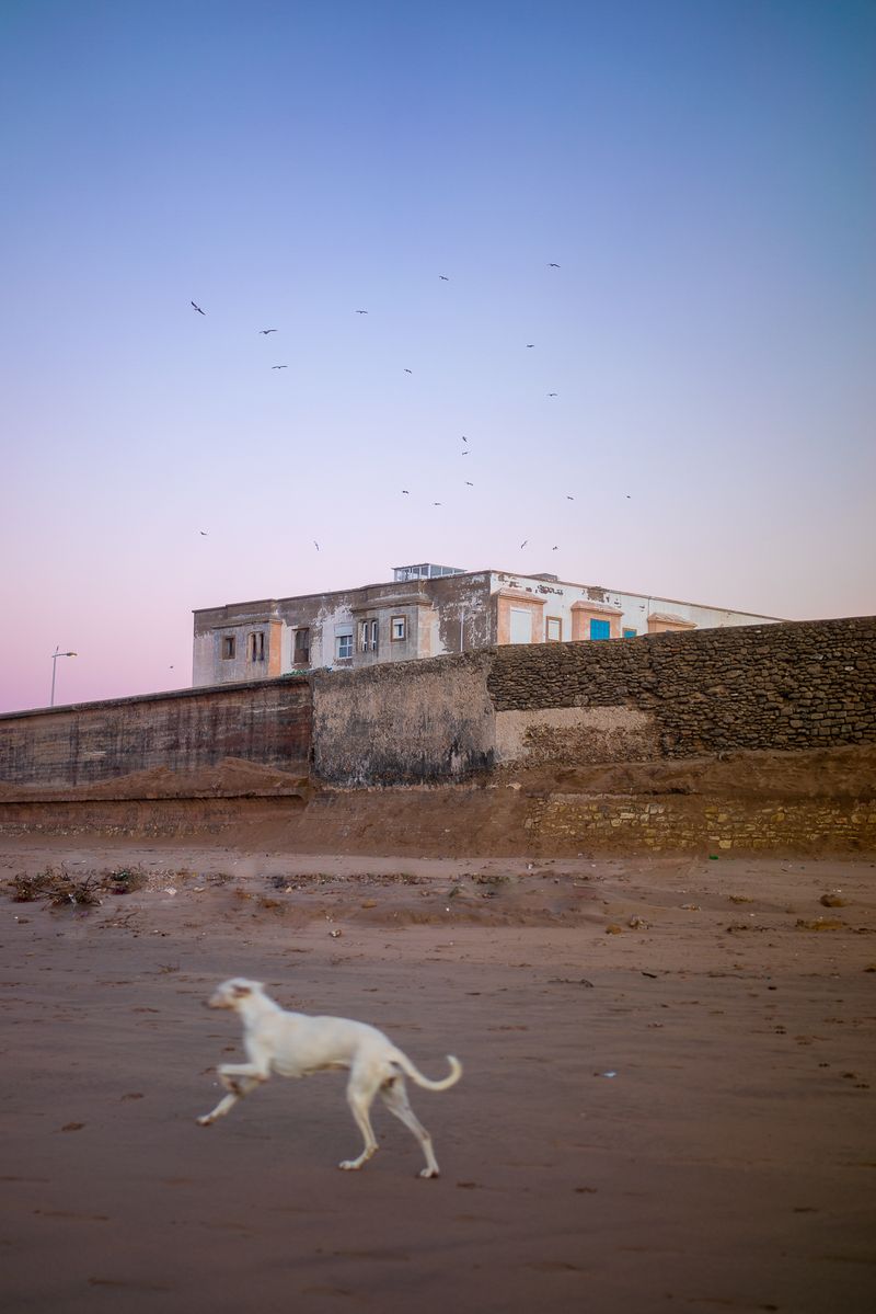 © Mayssa Jaoudat - Image from the Suzanne, Long Road photography project