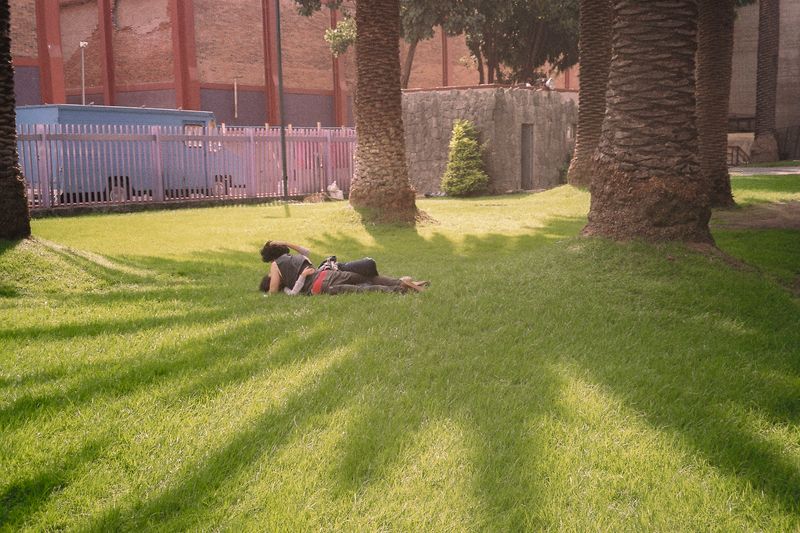 © Mayssa Jaoudat - When the sun turns black - chapter I