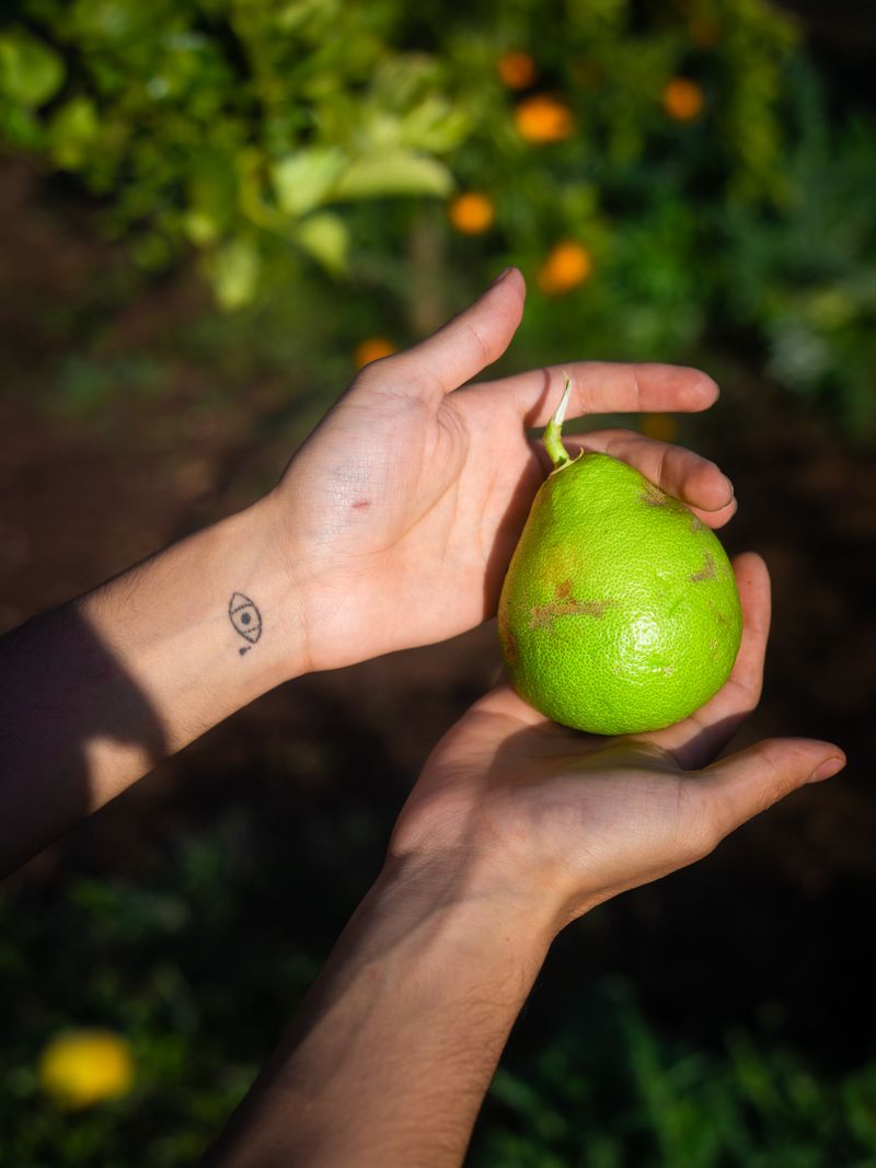 © Mayssa Jaoudat - Image from the Suzanne, Long Road photography project