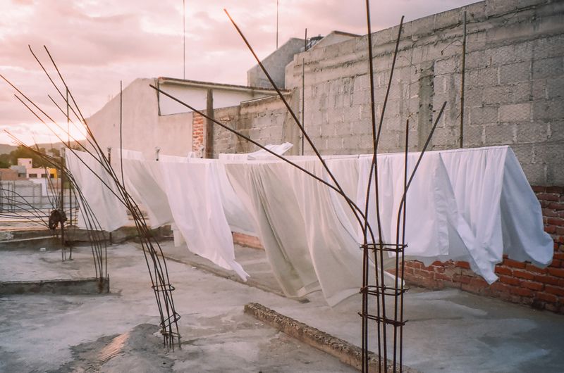 © Mayssa Jaoudat - Image from the Mille-Feuilles photography project