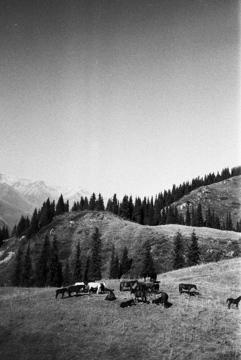 © Katsiaryna Miats - Image from the X/JUST BLACK OUT MY NAME photography project