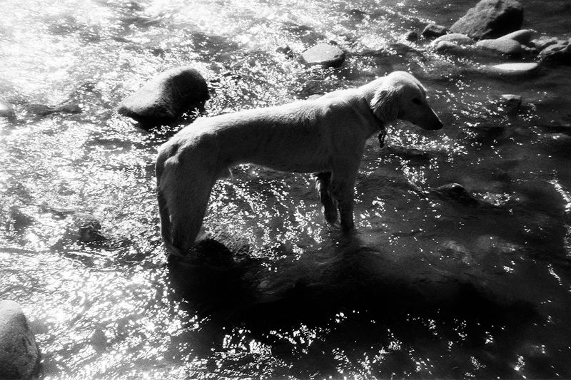 © Katsiaryna Miats - Image from the X/JUST BLACK OUT MY NAME photography project