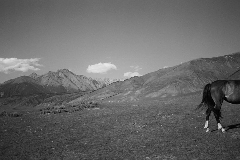 © Katsiaryna Miats - Image from the X/JUST BLACK OUT MY NAME photography project