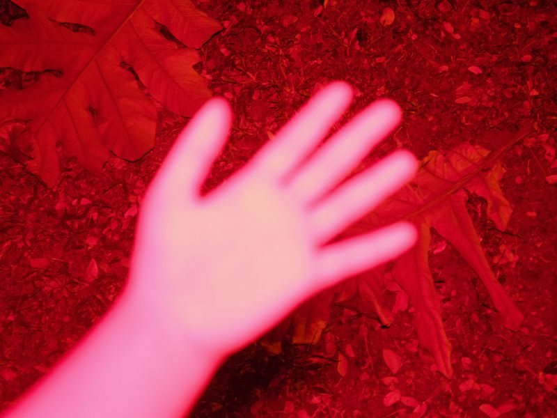 © Morthou - Image from the Absent in Body photography project