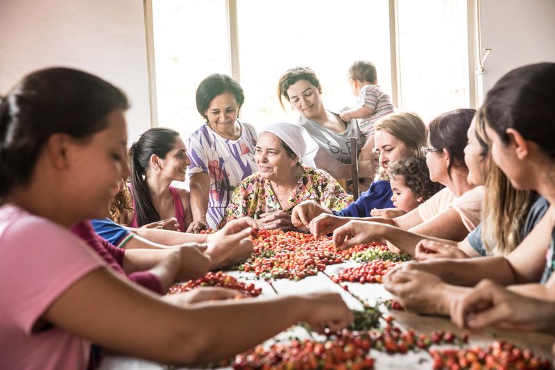 © Marlena Waldthausen - harvest of the small red chilli peppers they sell