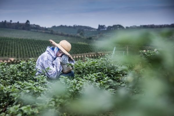 © Marlena Waldthausen - The main source of income is agriculture