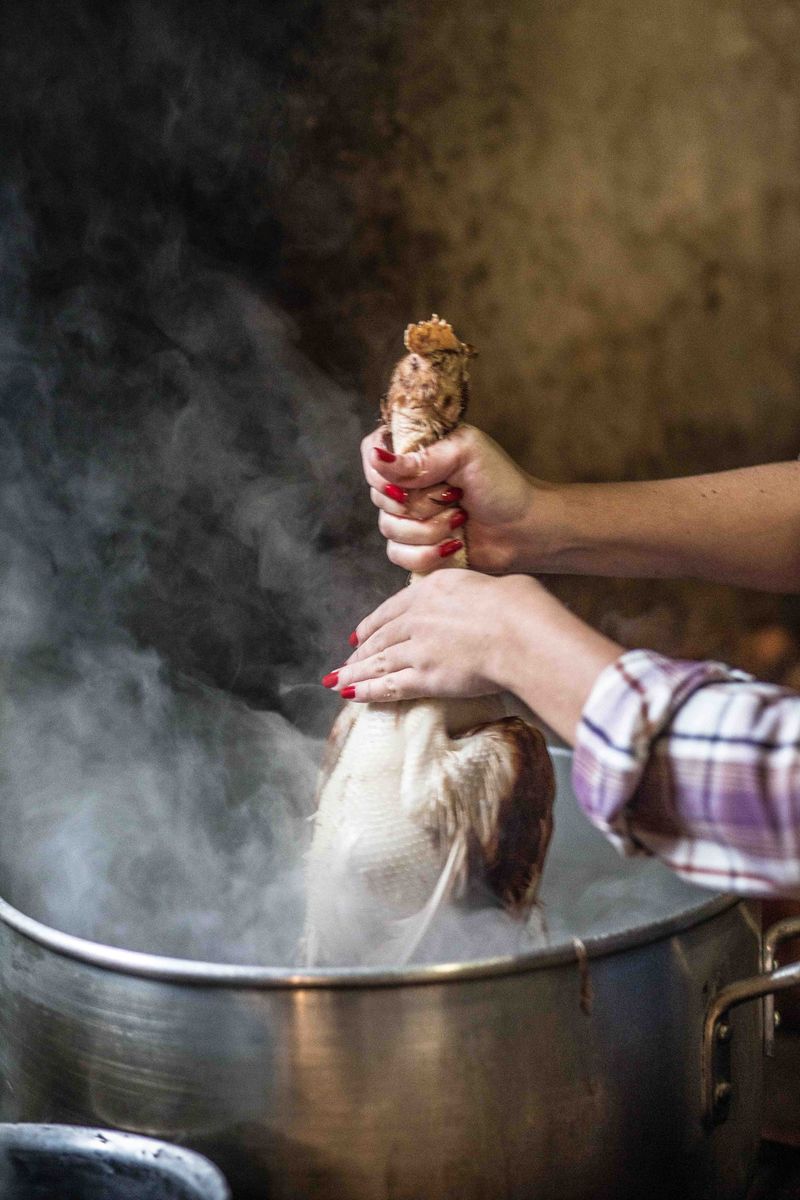 © Marlena Waldthausen - Image from the Noiva do Cordeiro - where women rule photography project