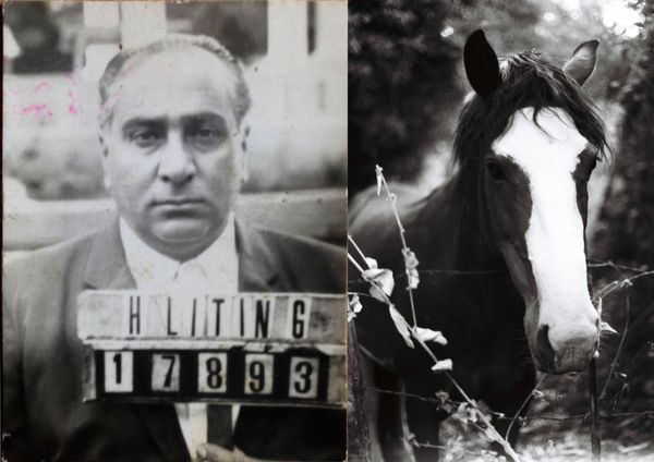 © Mayra Kamil Littin - Image from the Linaje Dorado photography project