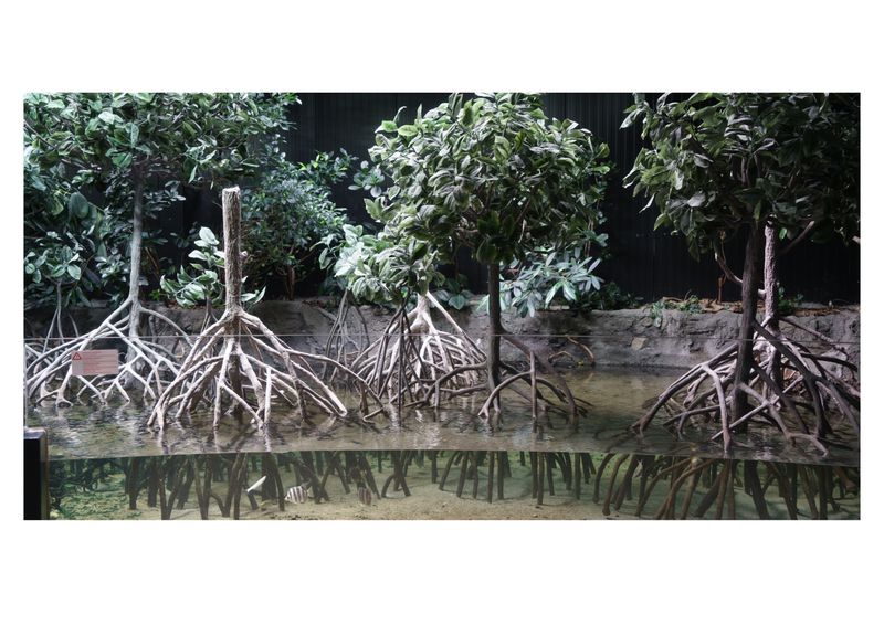 © Haishu Chen - AQUATIC, Lausanne