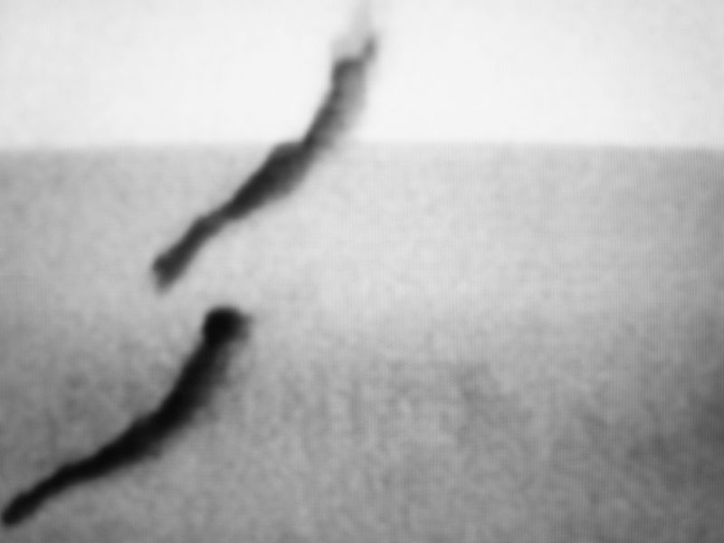 © Michele Brancati - Image from the Agua photography project