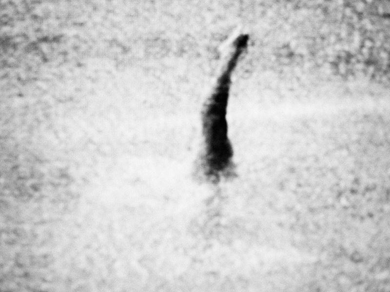 © Michele Brancati - Image from the Agua photography project