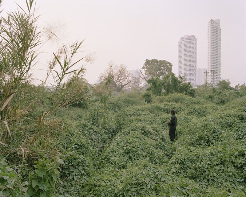 © Lek Kiatsirikajorn - Image from the Lost in Paradise photography project