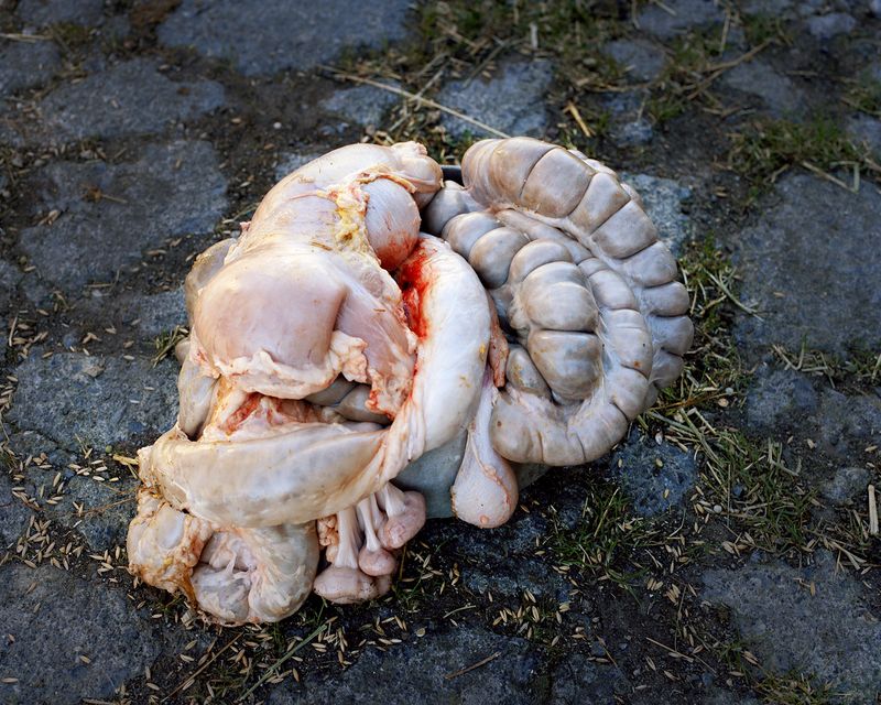 © Bego Anton - Image from the all OF THEM WITCHES photography project