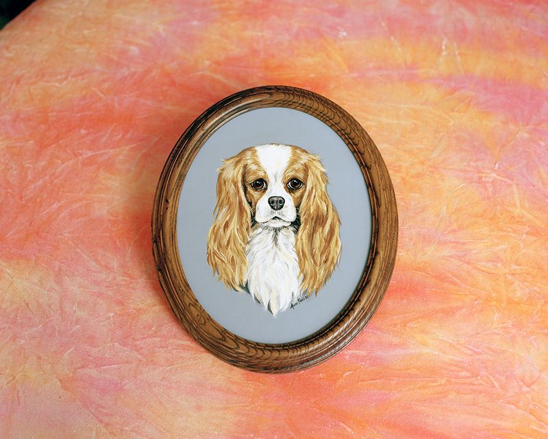 © Bego Anton - Image from the Everybody Loves to ChaChaCha photography project