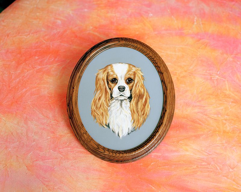 © Bego Anton - Image from the Everybody Loves to ChaChaCha photography project