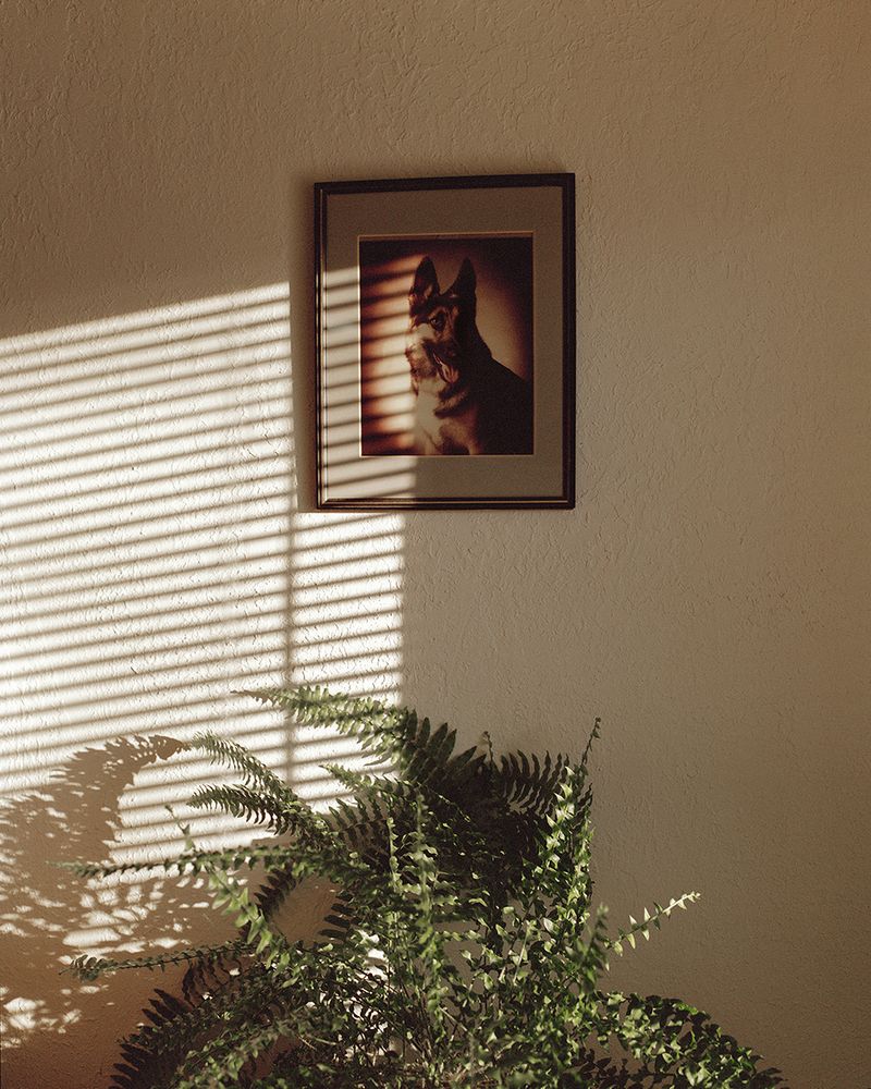 © Bego Anton - Image from the Everybody Loves to ChaChaCha photography project