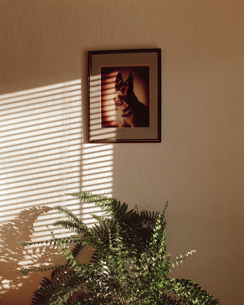 © Bego Anton - Image from the Everybody Loves to ChaChaCha photography project