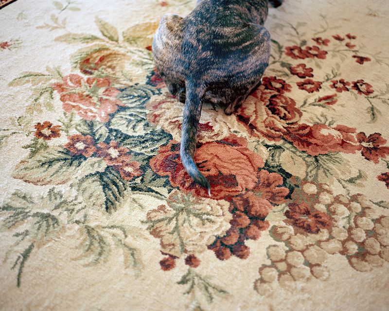 © Bego Anton - Image from the Everybody Loves to ChaChaCha photography project