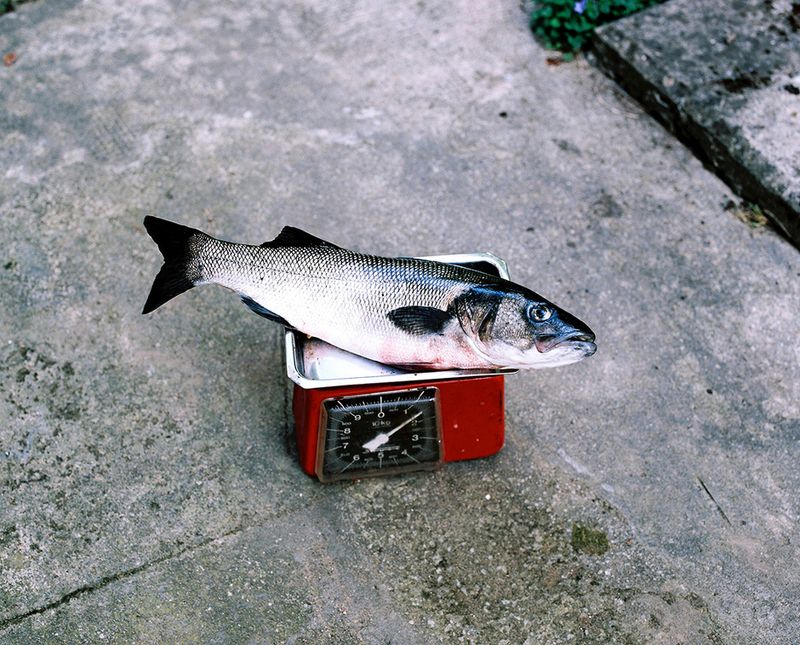 © Bego Anton - Image from the Aita and the sea photography project