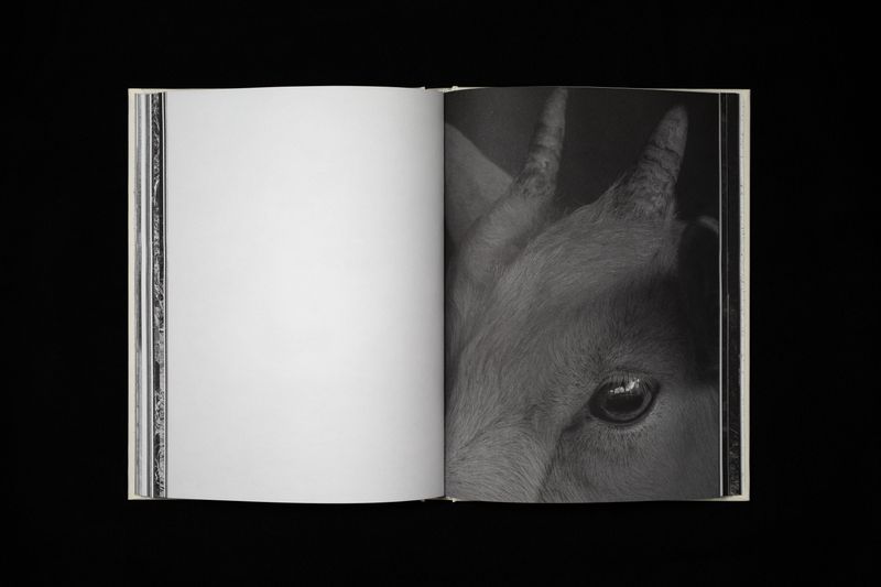 Image from a project on PhMuseum