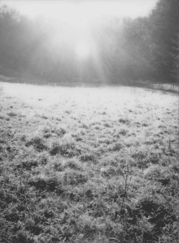 Image from a project on PhMuseum