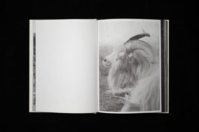 Image from a project on PhMuseum