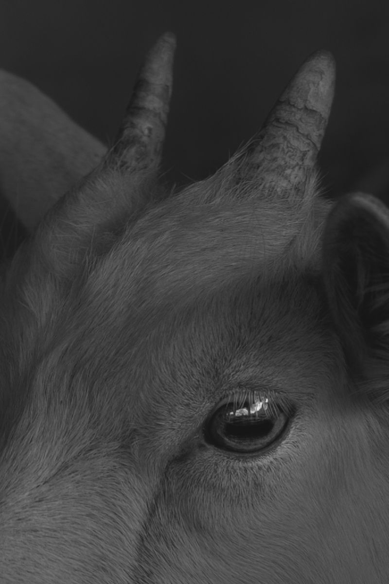 Image from a project on PhMuseum