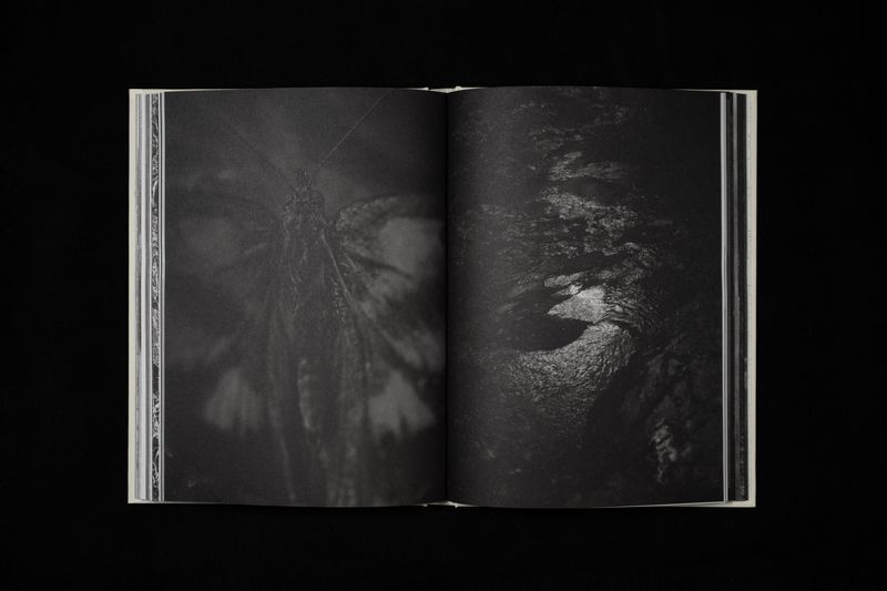 Image from a project on PhMuseum