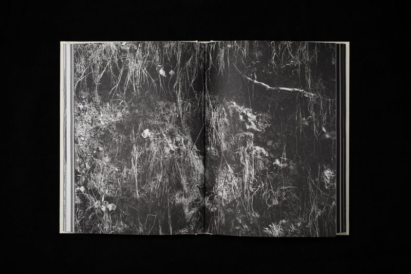 Image from a project on PhMuseum