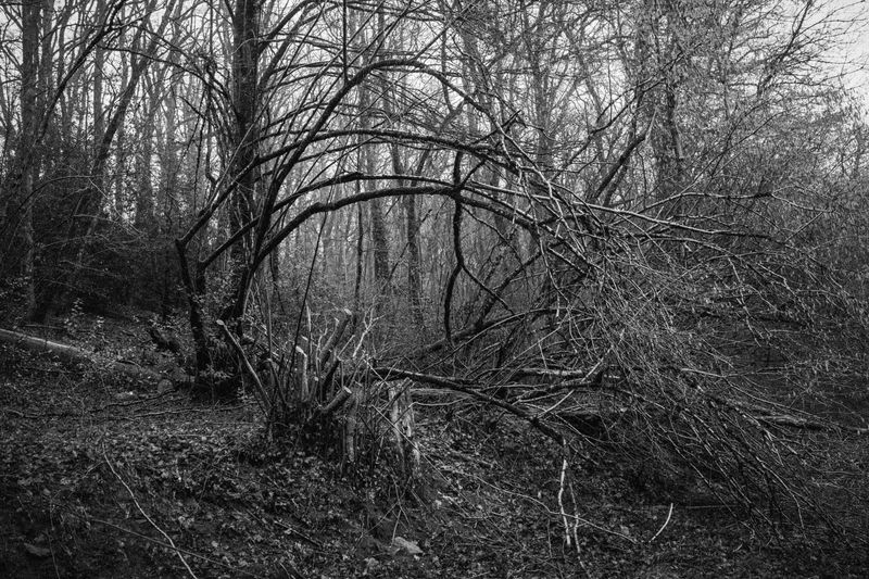 Image from a project on PhMuseum