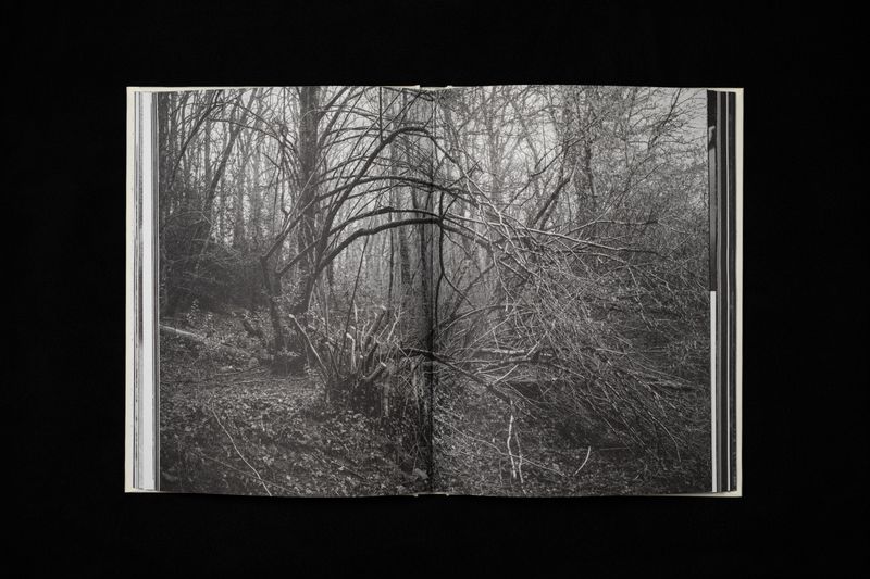 Image from a project on PhMuseum