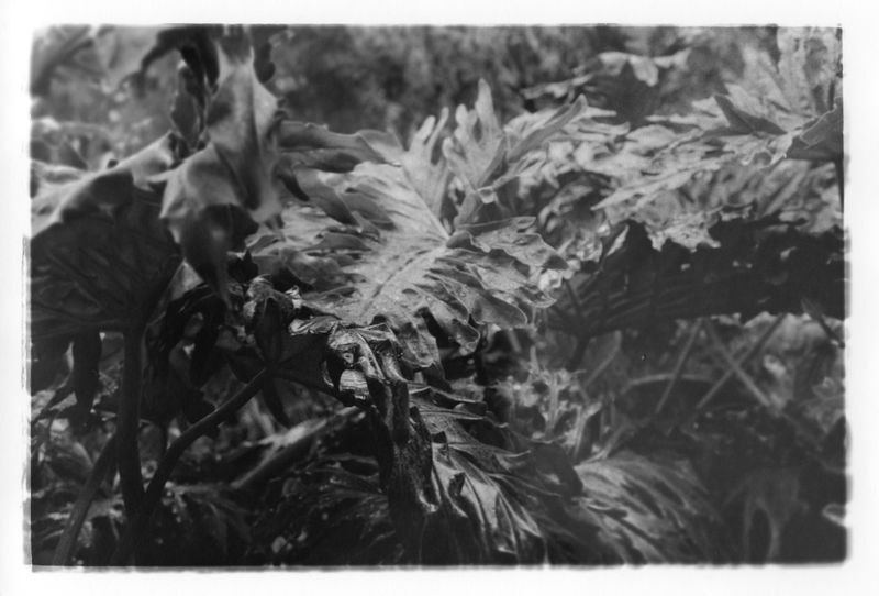 © Lisa Gervassi - Image from the L'Amour Amor photography project