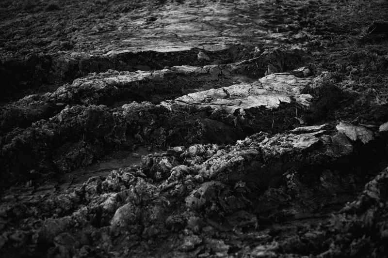 © Lisa Gervassi - Image from the Ring Around the Rosie photography project