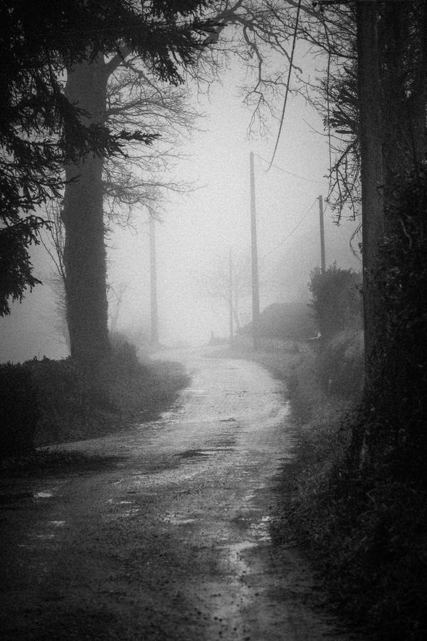 © Lisa Gervassi - Image from the Ring Around the Rosie photography project