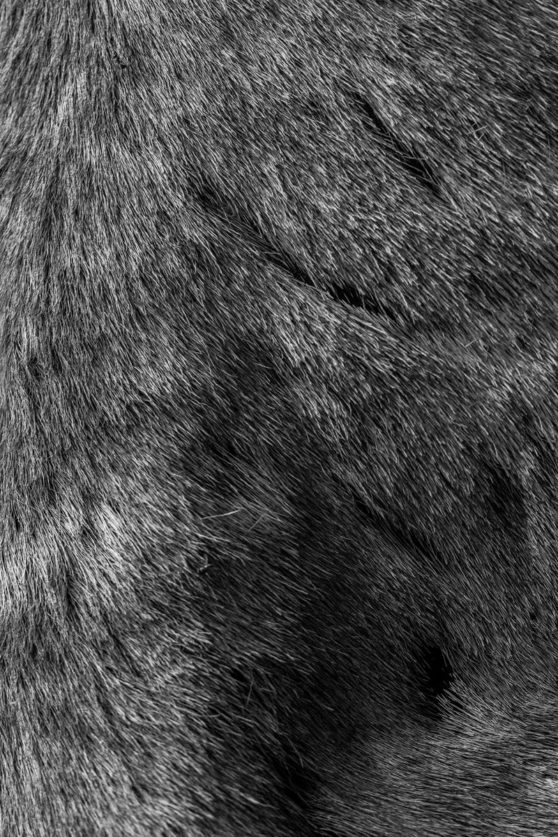 © Lisa Gervassi - Image from the Ring Around the Rosie photography project