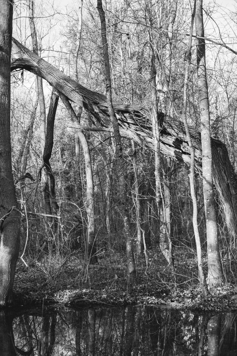 © Lisa Gervassi - Image from the Mommy photography project