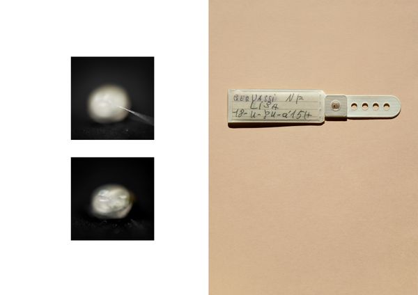 © Lisa Gervassi - I organized this project into four stages: separation (birth), disappearance (death of the mother), wandering and survival.